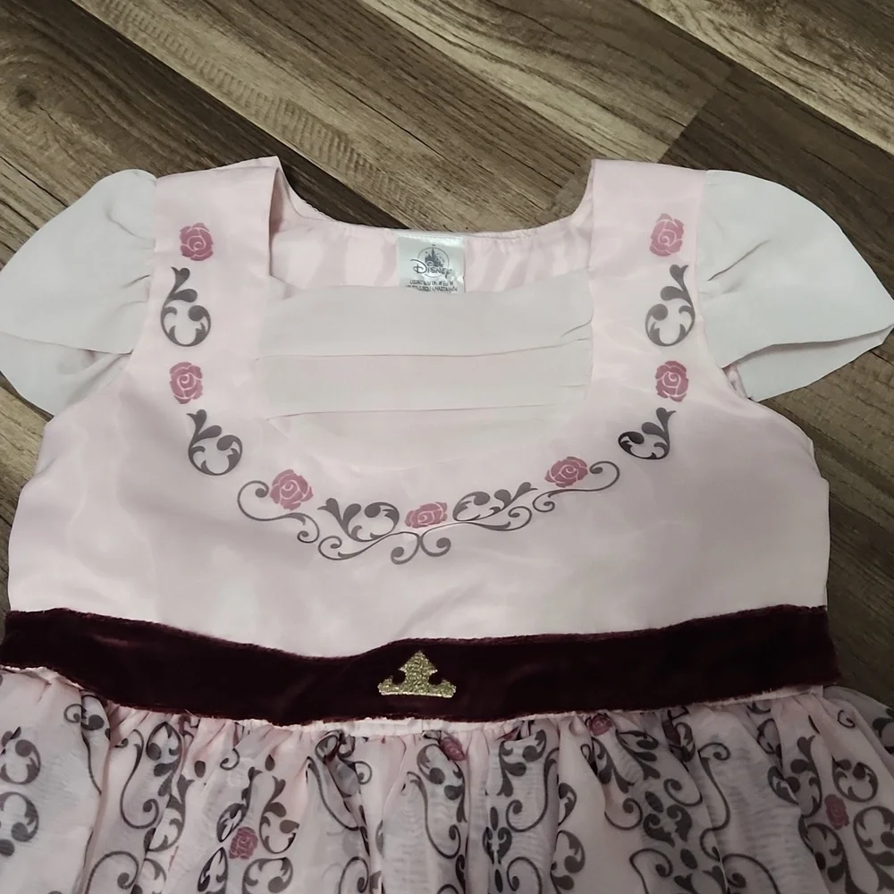 Aurora Sleeping Beauty Inspired Dress ADAPTIVE - Special Needs Siz 6
